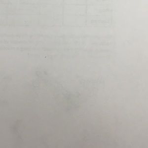 Meet your Posher, Laci